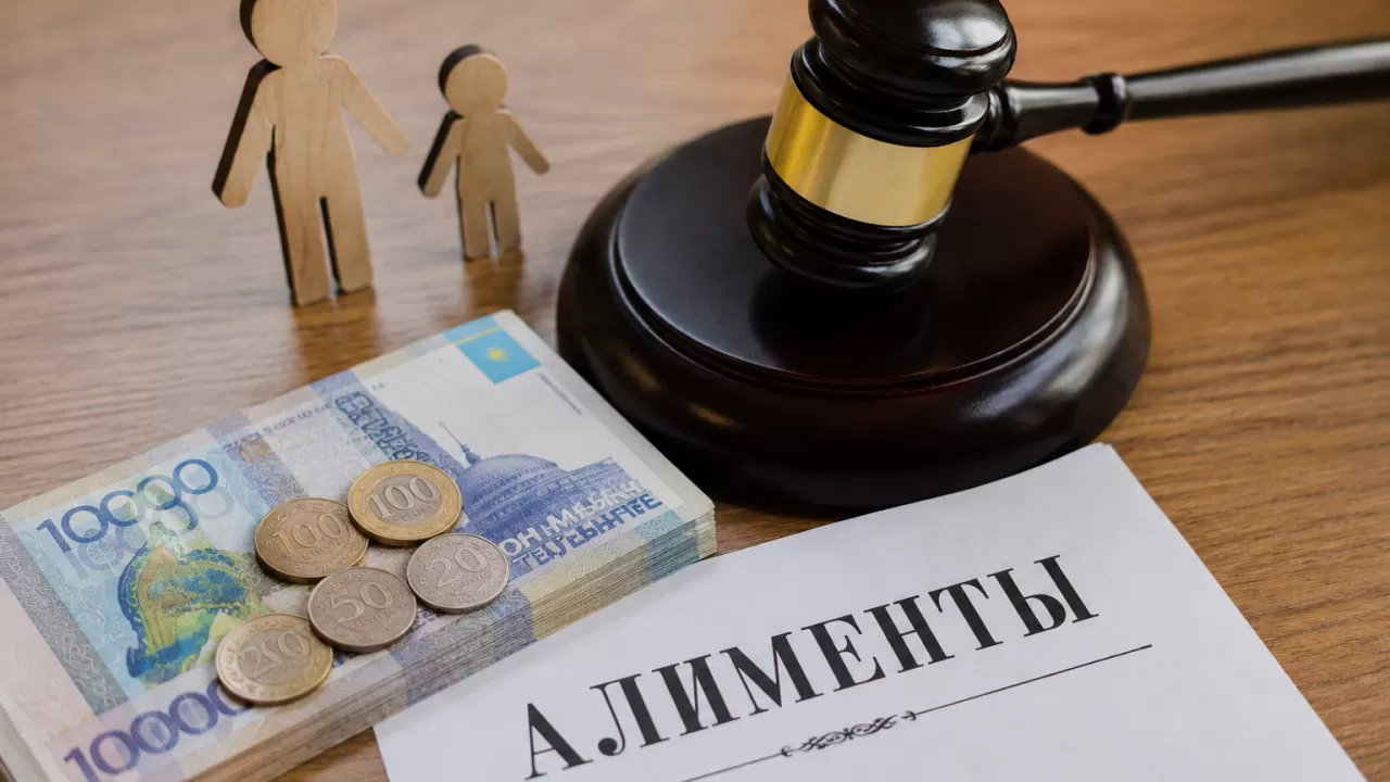 Жителя ЗКО отправили в колонию за долг по алиментам в 4 млн тенге