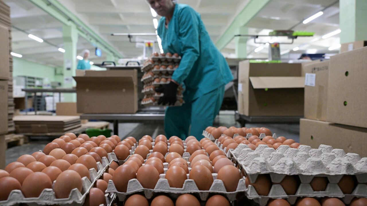 Жамбыл облысында 1 млрд теңгелік құс шаруашылығы жобасы басталды