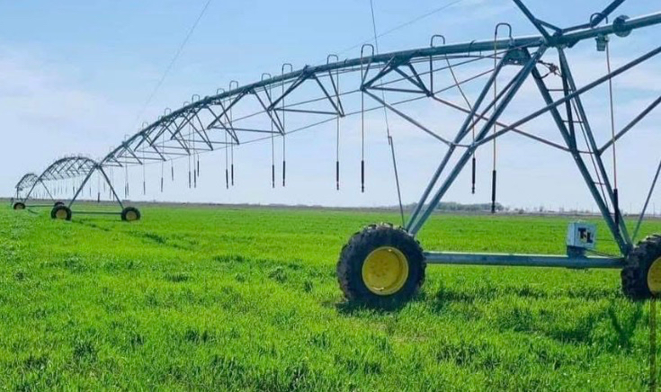 Жетісуда шаруаларға негізсіз өндірілген 68 млн теңге қайтарылды