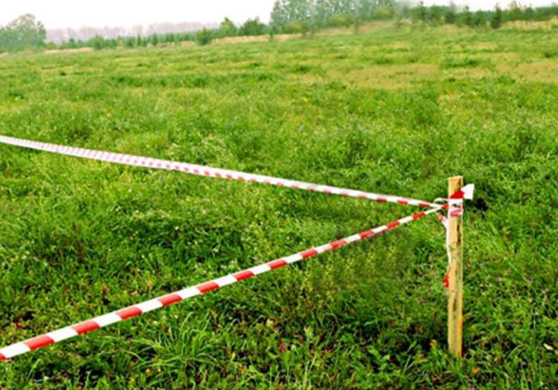 Қостанай облысында 38 млн теңгеден астам субсидия негізсіз алынған