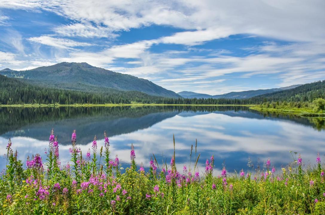 ЮНЕСКО мойындаған қазақ жеріндегі ғажайып мекен