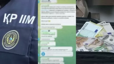 Казахстан и Украина провели совместную спецоперацию в Киеве