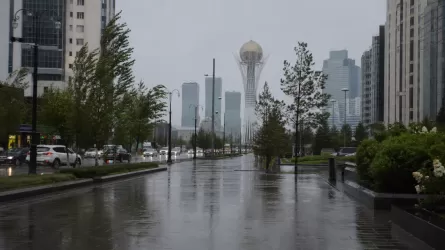 Стало известно, когда в Астану придет дождь и прохлада 