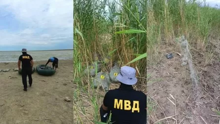 Незаконная рыбалка в особо охраняемой зоне закончилась задержанием шести человек 
