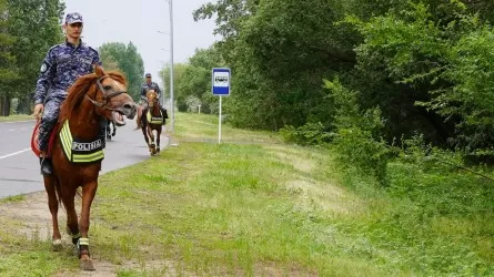 Там, где не проедет автомобиль: как работает конная полиция Павлодара