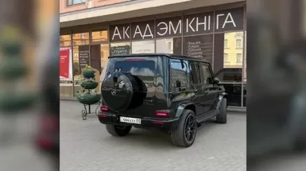 МВД Беларуси пригрозило выдворением многодетной казахстанке на "Гелике"