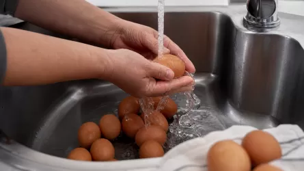 Эксперт назвала 4 продукта, которые опасно мыть 