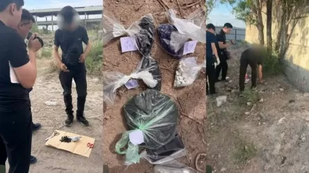 Закладки, тайники и указания куратора: крупный канал поставки наркотиков перекрыли полицейские в Балхаше  