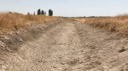 Канал есть - воды нет: крестьяне Жамбылской области несут миллионные убытки 