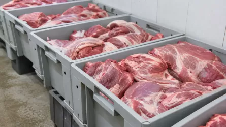Казахстан продлит ограничение на вывоз говядины 