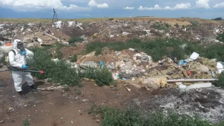 Скандал в ЗКО: после незаконного сброса медотходов начато расследование 