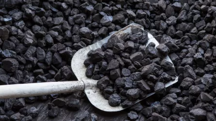  Газ вместо угля: в Алматы пересчитают все источники дыма 