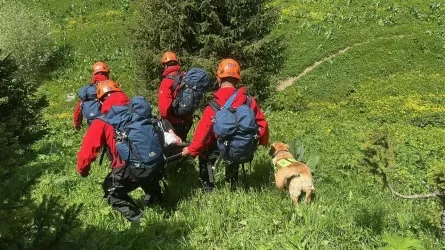 Лето в горах без риска: как подготовиться к походу и избежать опасности