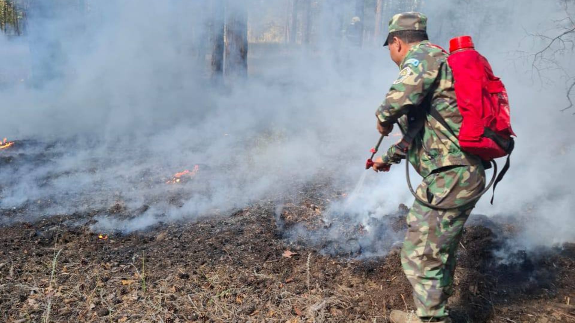Бүгін еліміз бойынша орман қорында 3 өрт тіркелді