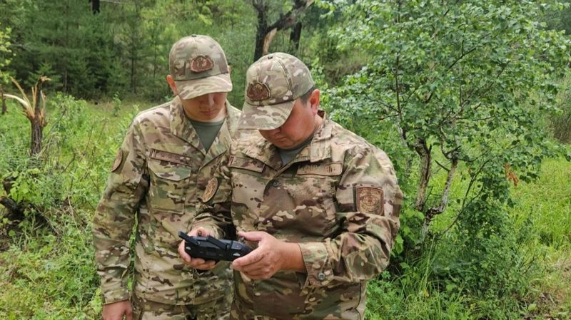 Өрт қаупі: Шығыс Қазақстанда ормандардың біріне кіруге тыйым салынды
