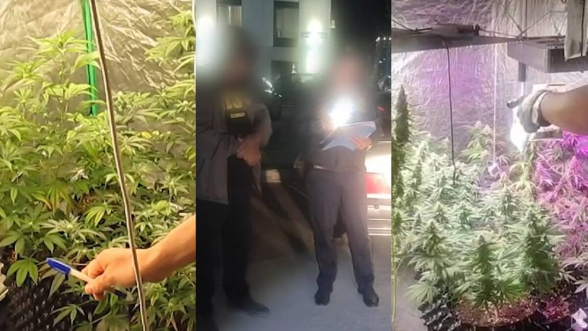Пәтерді есірткі зертханасына айналдырғандар ұсталды