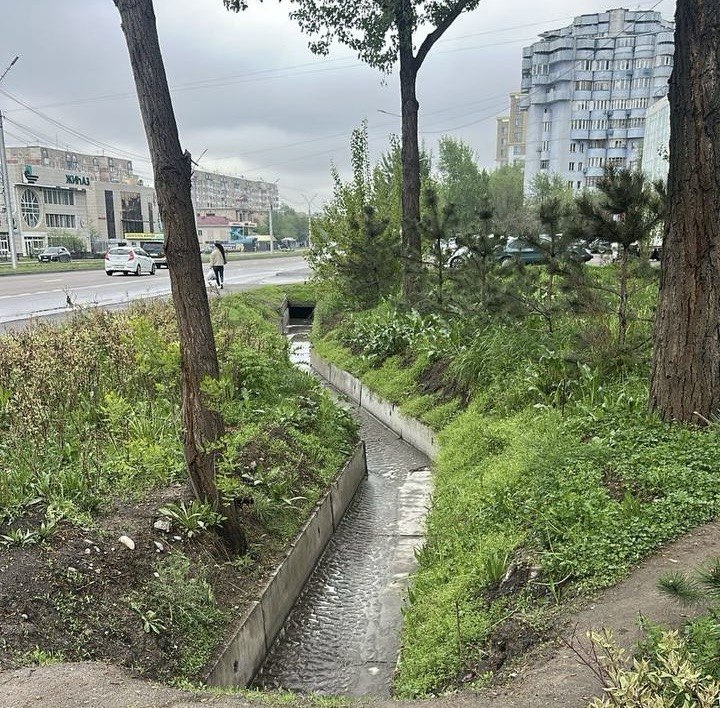 Алматылықтар арықтарды бетон плиталарымен жабуға қарсы петиция жариялады