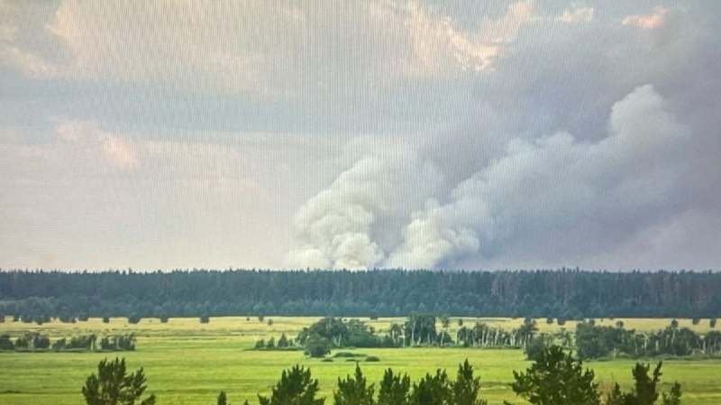 Павлодар облысындағы &laquo;Ертіс орманы&raquo; резерватында өрт шықты