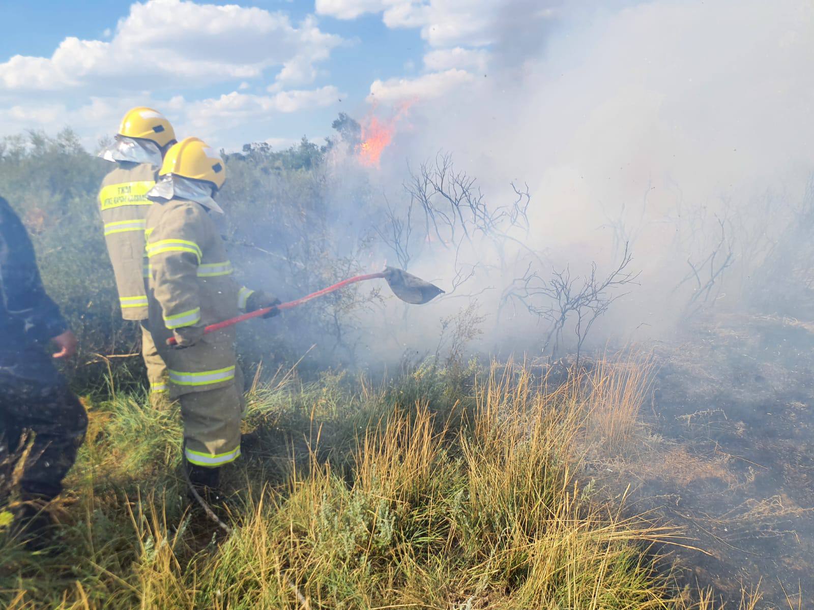Қазақстанның үш өңірінде орман өрті тіркелді