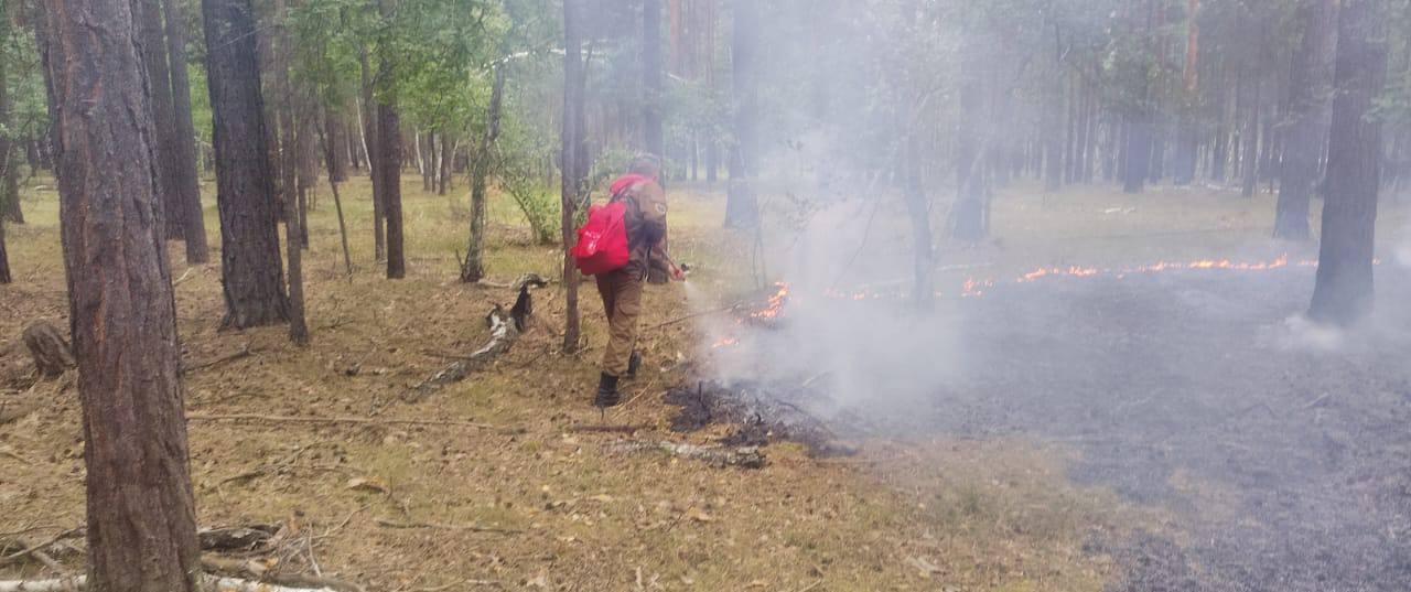Қазақстанда 2 орман өрті тіркеліп, толық сөндірілді