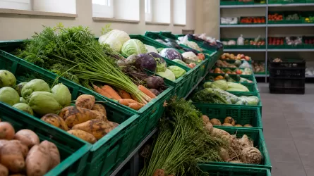 Предпринимателей, спекулировавших продуктами, оштрафовали более чем на миллион в ВКО