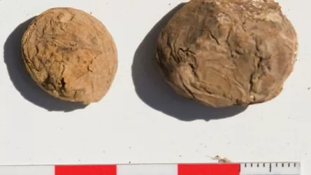 Археологи нашли в Перу 500-летние чипсы