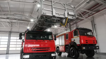 За счет чего в 11 раз снизили ущерб от лесных пожаров в Костанайской области