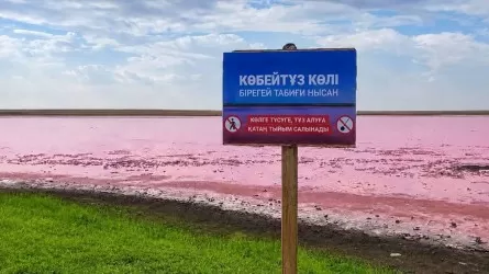 Розовое озеро под охраной: на Көбейтұзе ввели жесткие ограничения для туристов 