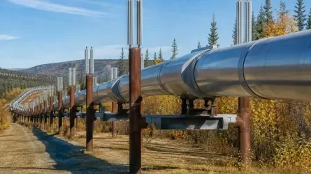 Импортерам российской нефти грозят 100%-ные пошлины США