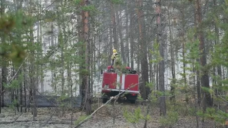 В еще одном нацпарке Казахстана горел лес