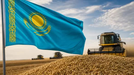 Казахстан установил новый аграрный рекорд