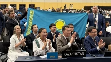 Спустя 22 года культурное наследие Казахстана вновь пополнило список ЮНЕСОК - Карин