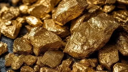 500 гр золота и 100 тыс. юаней в месяц: подробности незаконной добычи золота в ВКО