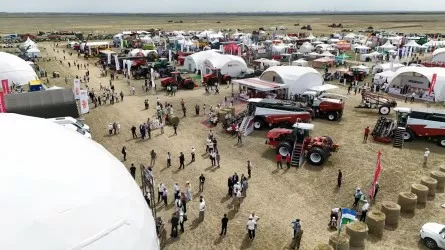 Главное агрособытие лета: названы дата и место Jańa Dala / Green Day &rsquo;2026 в РК 