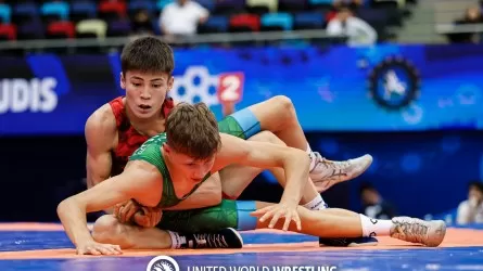 Борец Али Алмас стал серебряным призером чемпионата мира в Баку