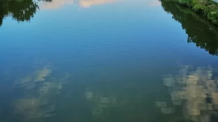 Стратегические водные каналы годами оставались вне госсобственности