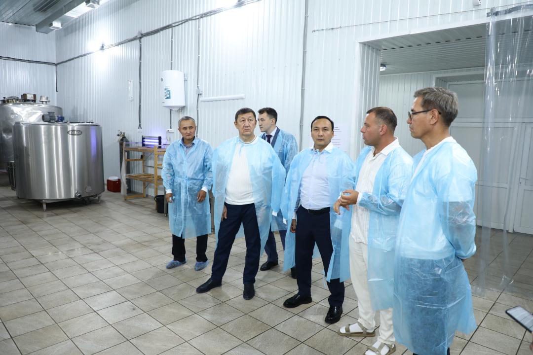 Қарағанды облысында сүт өңдеу кәсіпорны жаңа зауыт салуды жоспарлап отыр