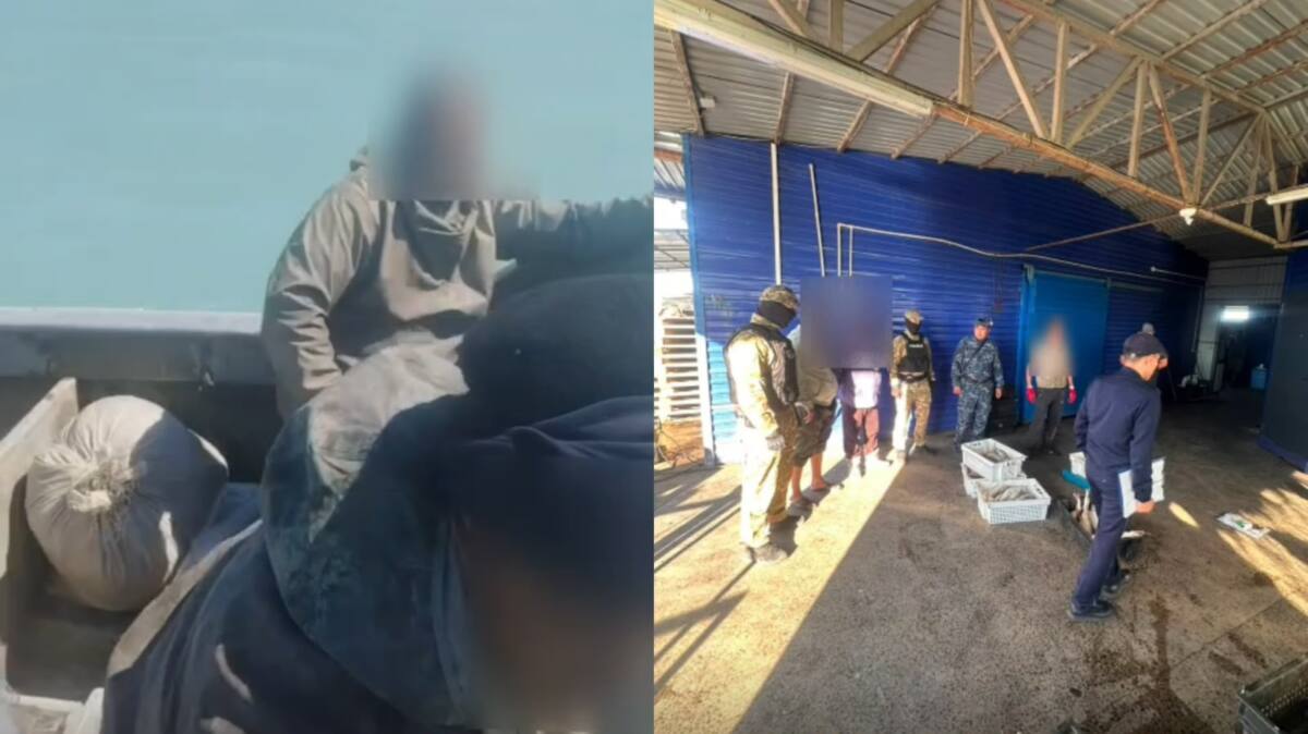 Балқаш көлінен 53 келі көксеркені заңсыз аулағандар ұсталды