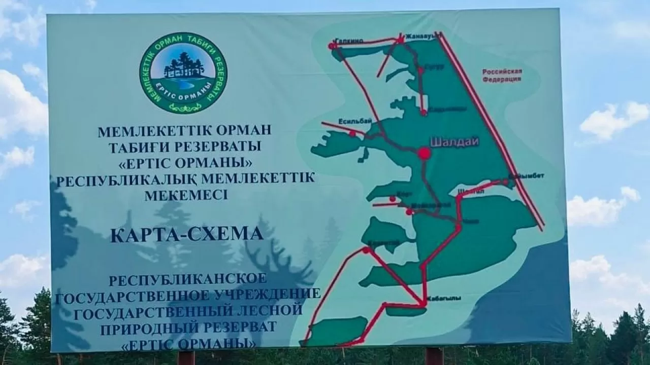 В "Ертіс орманы" вход станет платным: кто сможет проходить бесплатно