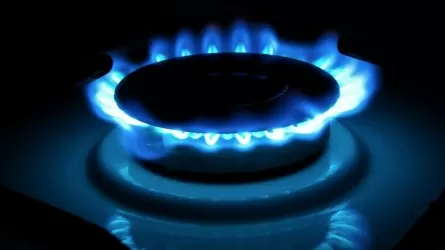 Газовый дефицит в этом регионе решат за счет возвращенных активов