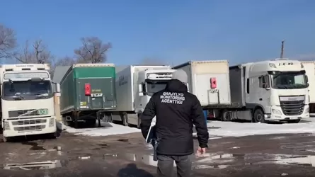 Суд в Казахстане отправил в тюрьму 17 участников схемы с &laquo;двойниками&raquo; авто