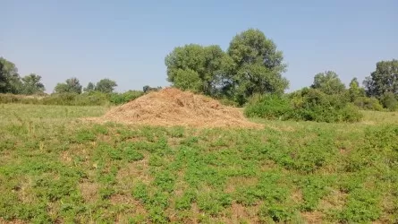 Жара до +44 и грозы с градом: Казахстан 1 августа накроет опасная погода