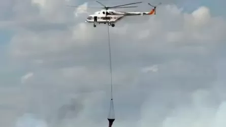 Пожар на площади 650 га тушат в Карагандинской области