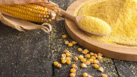 Отходы кукурузы стали удобрением 