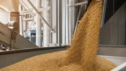 Свыше половины экспорта АПК Казахстана пришлось на готовую продукцию