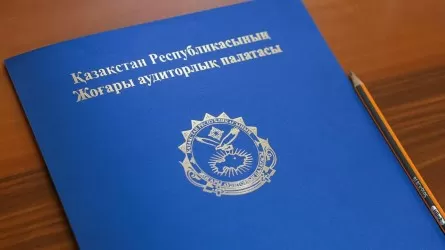 В Казахстане госзакупки начали автоматически блокировать при попытке искусственного дробления