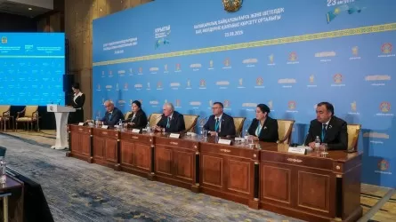 Демалыс күніне қарамастан, адамдар өз мемлекетінің саяси өміріне қызығушылық танытып отыр &ndash; халықаралық байқаушылар