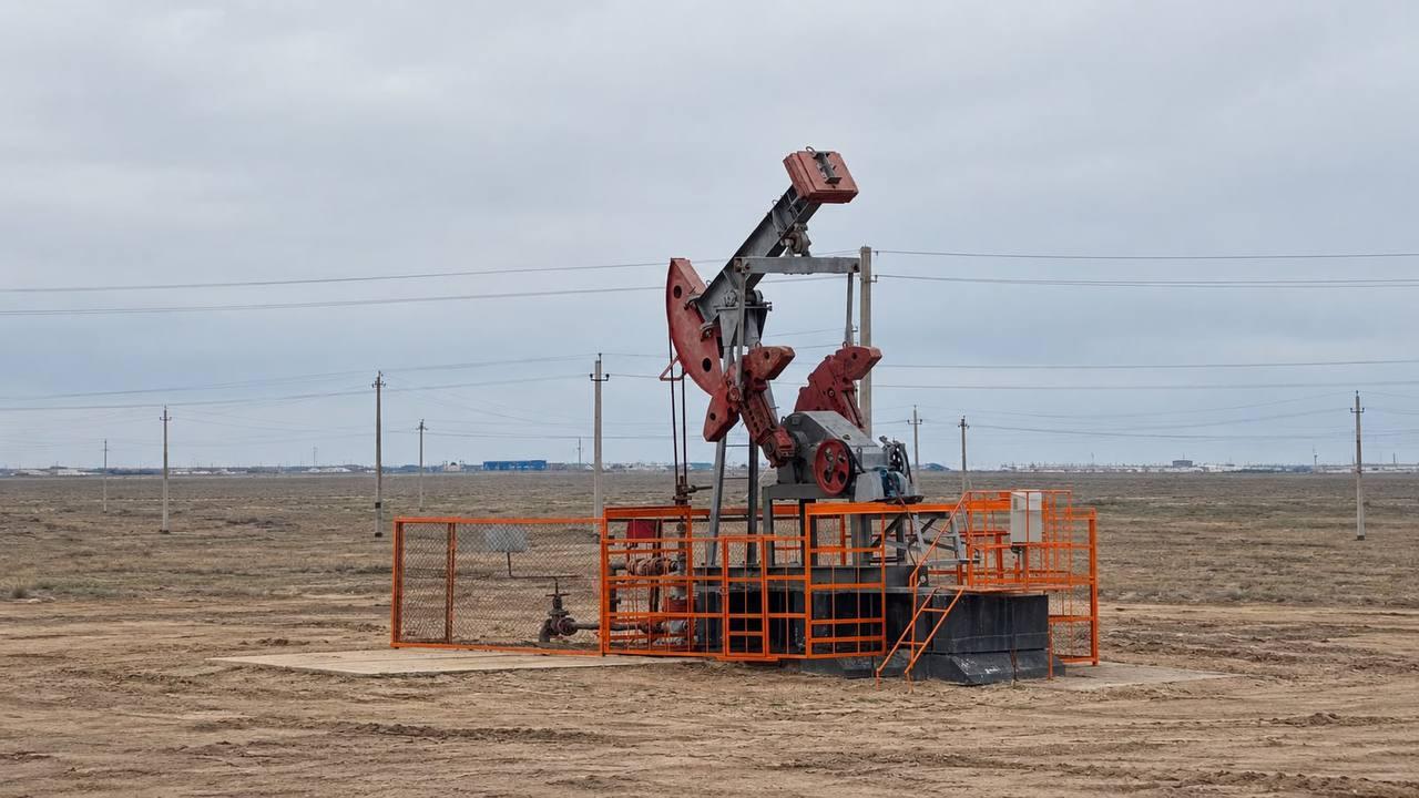 Нефтедобывающая компания выплатила свыше миллиарда за эконарушения 