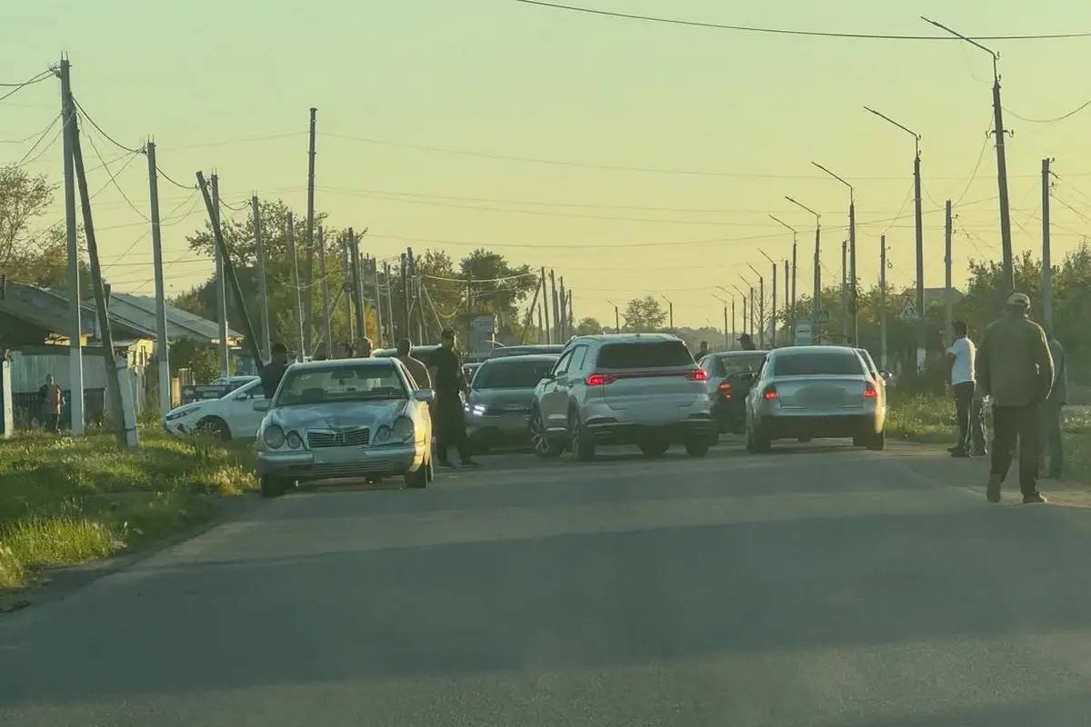 &laquo;Анасының көзінше болған&raquo;: Ақмола облысында 8 жасар қызды көлік қағып кетіп, мерт қылды