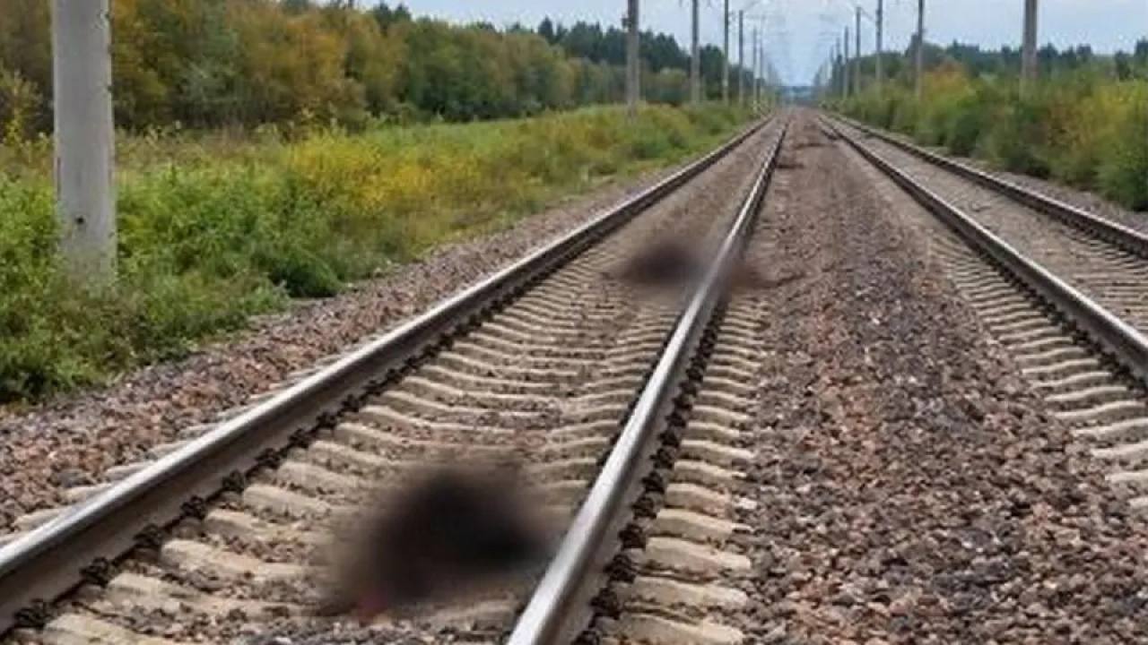 Ақмола облысында жолаушылар пойызы 13 бас малды қағып кетті